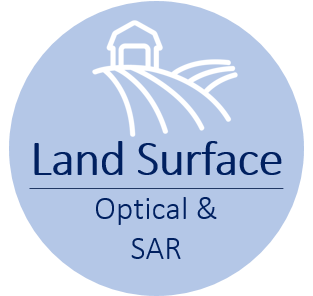 Land Surface: Optical & SAR programme icon